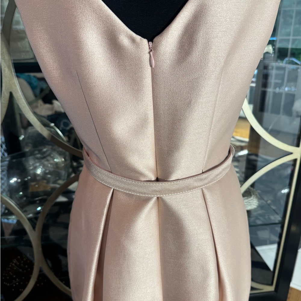 Eliza J Blush Embellished  Dress - Picture 7 of 12